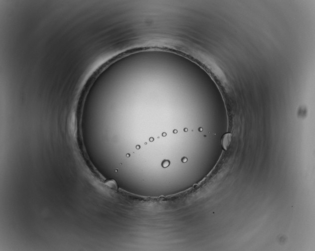 X0000103330936200809051206