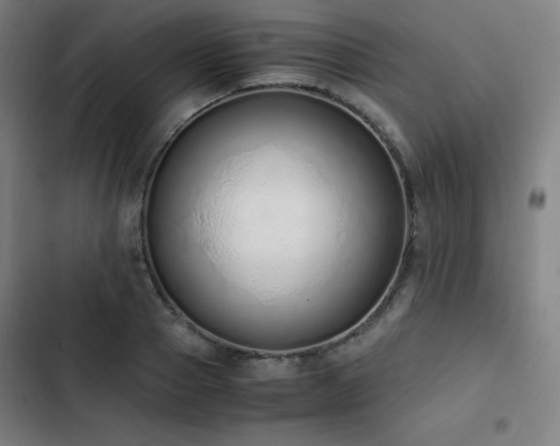 X0000103330937200809051206