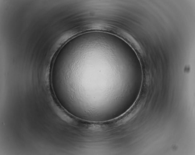 X0000103330938200809051206