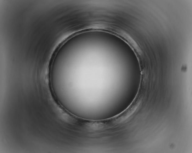 X0000103330939200809051206