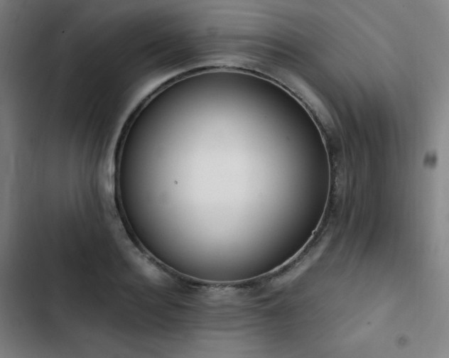 X0000103330940200809051206