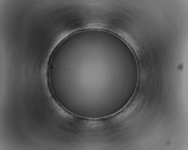 X0000103330941200809051206