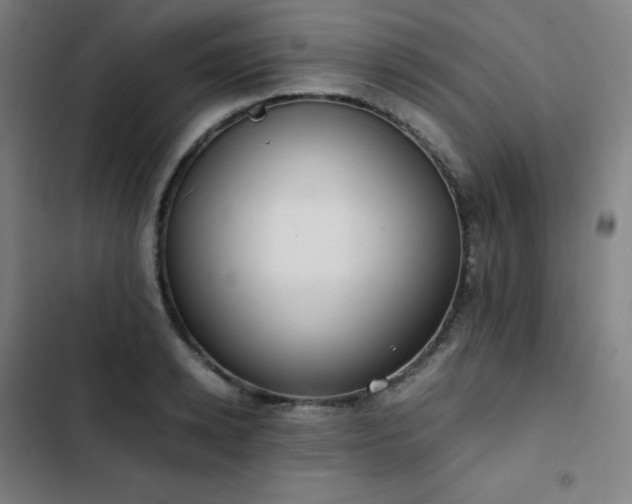 X0000103330942200809051206