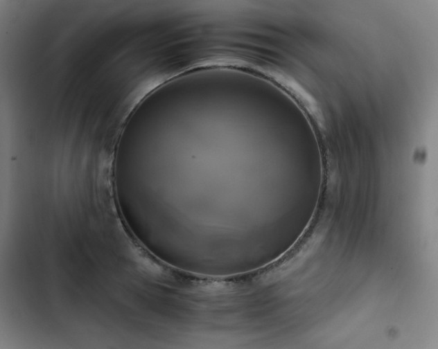 X0000103330945200809051206