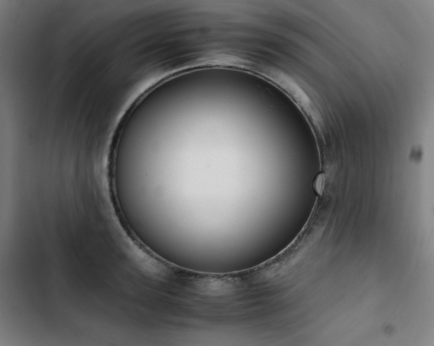 X0000103330947200809051206