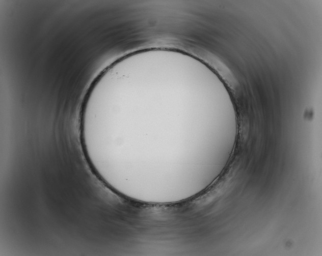 X0000103330950200809051206