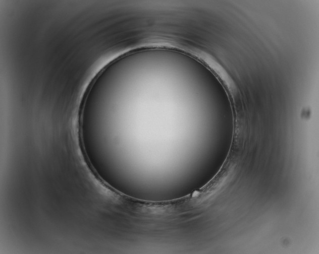 X0000103330951200809051206