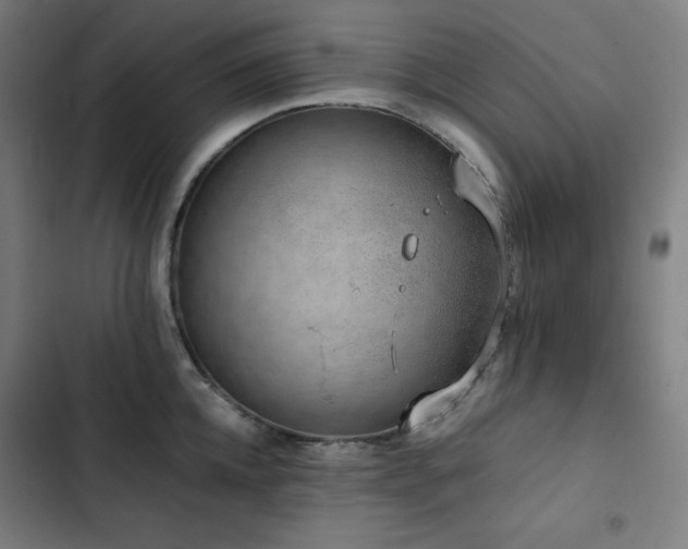 X0000103330952200809051206