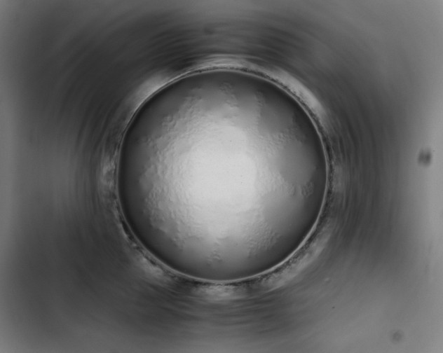 X0000103330953200809051206