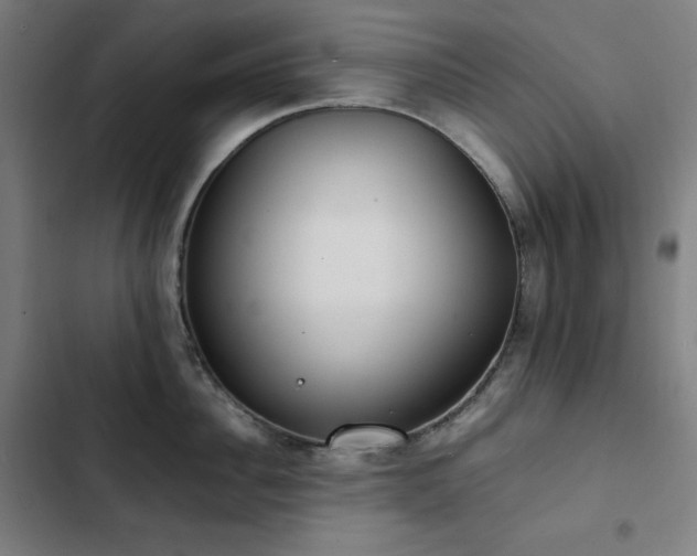 X0000103330956200809051206