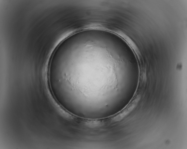 X0000103330957200809051207