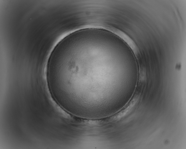 X0000103330958200809051207