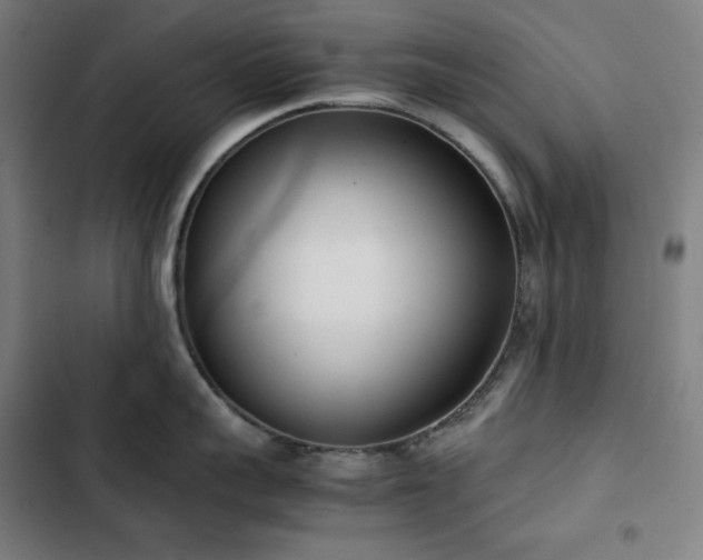 X0000103330959200809051207