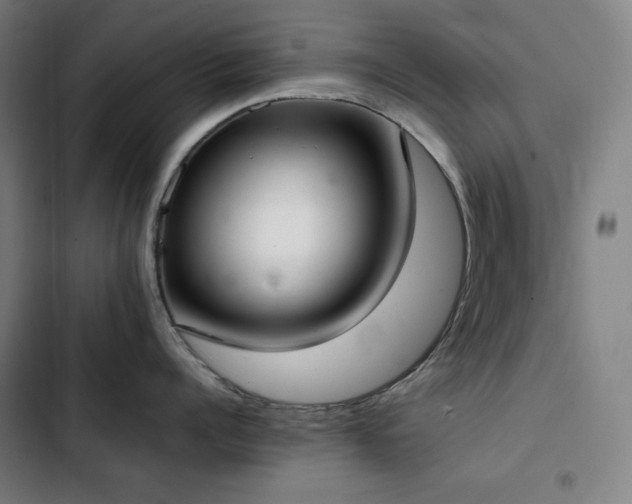 X0000103330960200809051207