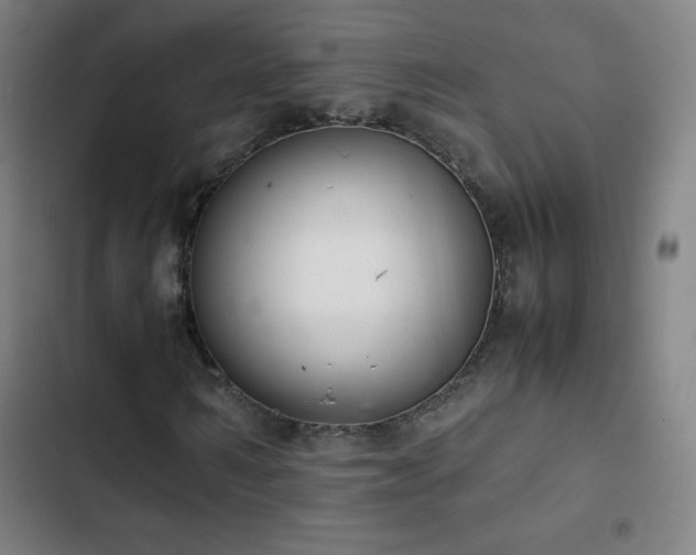 X0000103330962200809051206