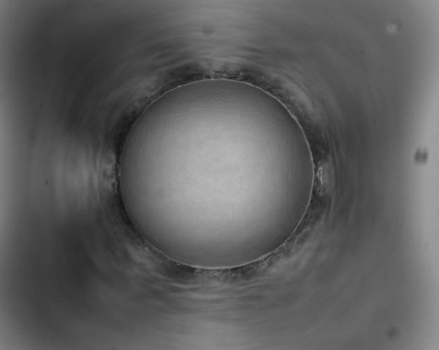 X0000103330963200809051206