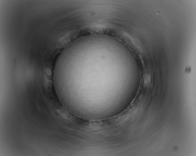 X0000103330964200809051206