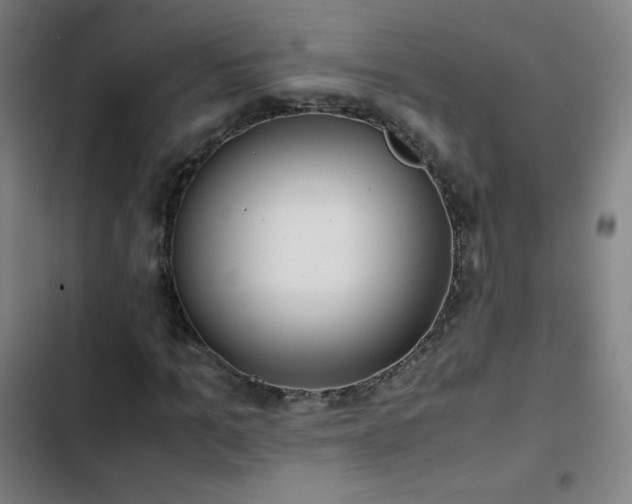 X0000103330965200809051206