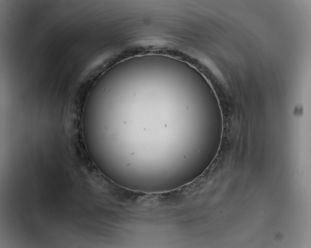 X0000103330967200809051206