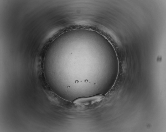 X0000103330968200809051206