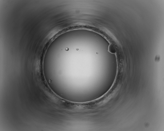 X0000103330969200809051206