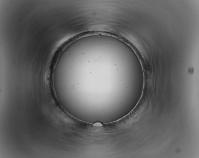 X0000103330971200809051206