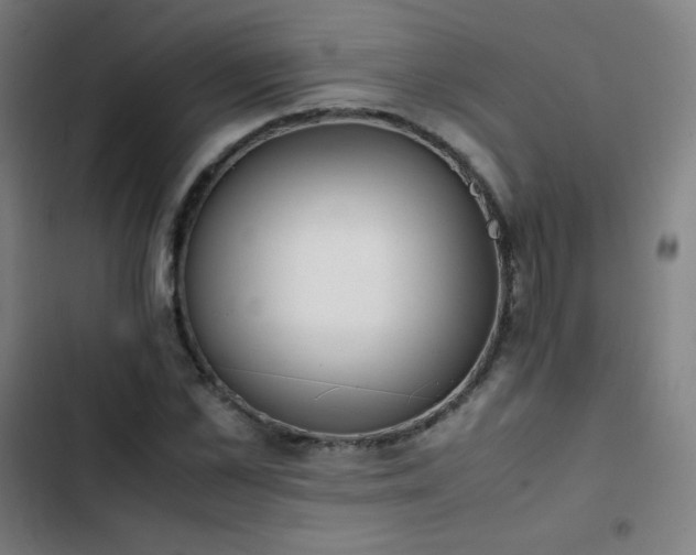 X0000103330973200809051206