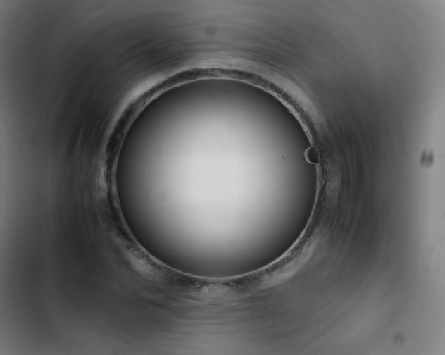 X0000103330974200809051206