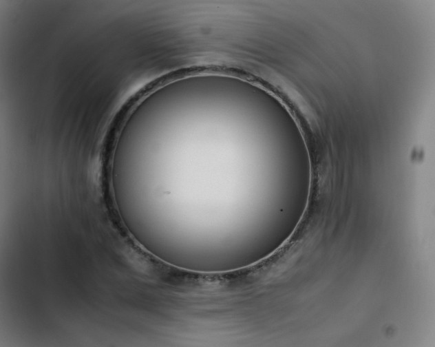 X0000103330975200809051206