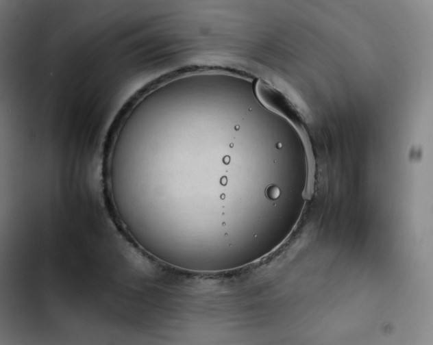 X0000103330976200809051206