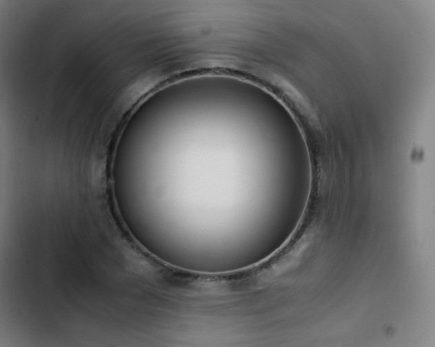 X0000103330977200809051206