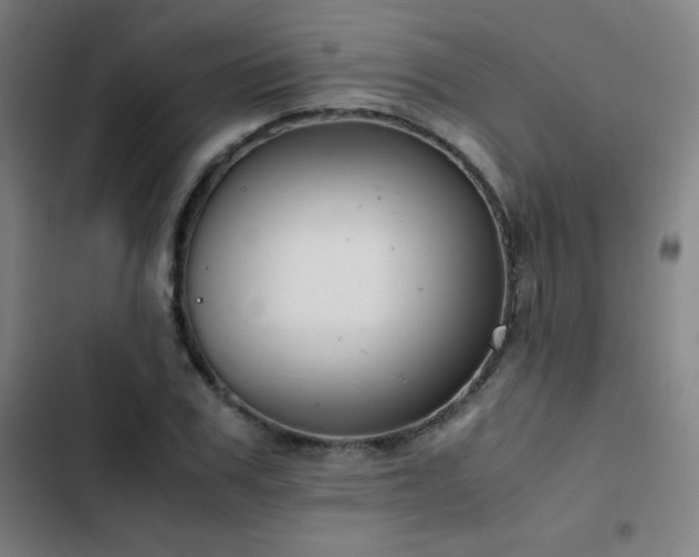 X0000103330979200809051206