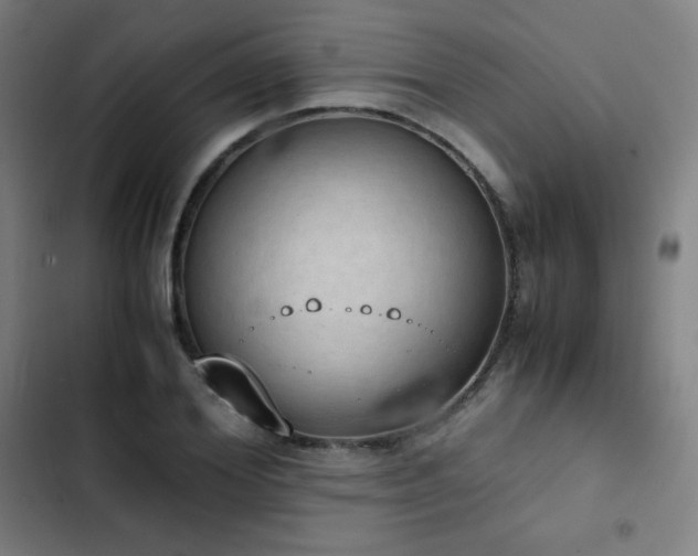 X0000103330980200809051206