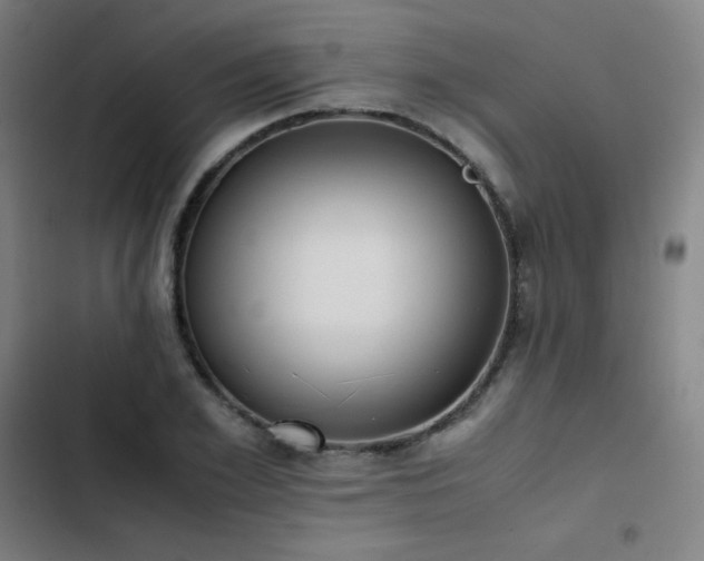 X0000103330981200809051206