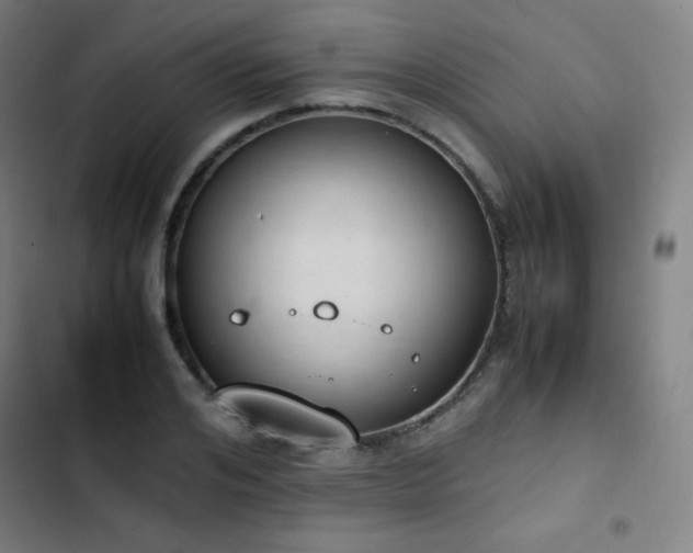 X0000103330984200809051206