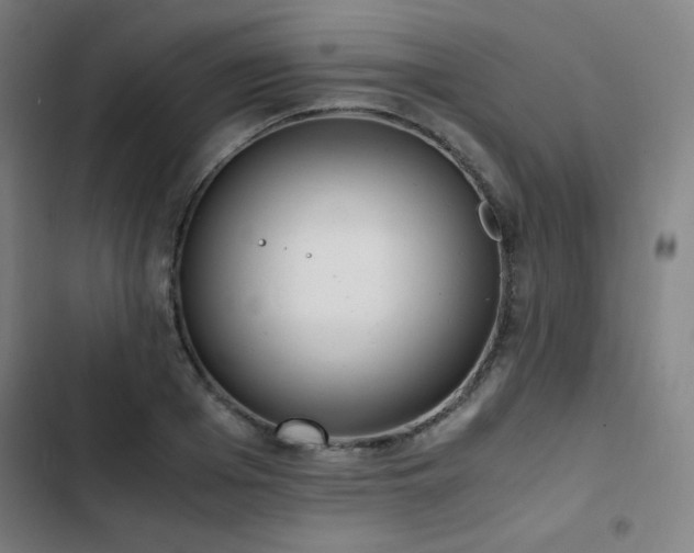 X0000103330985200809051206