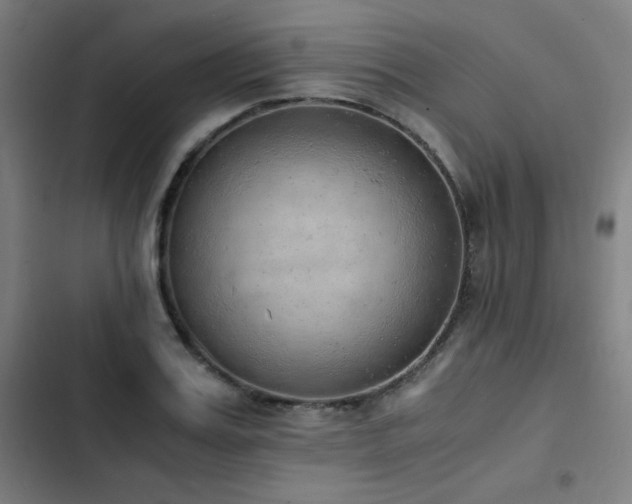 X0000103330987200809051206