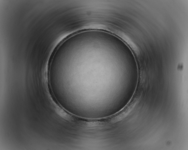 X0000103330988200809051206