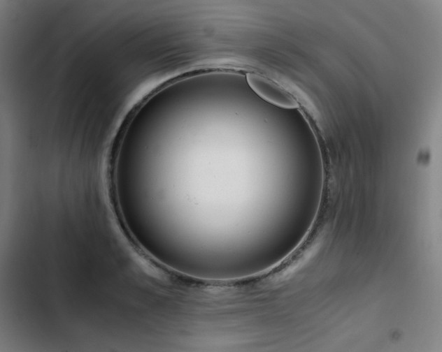 X0000103330989200809051206