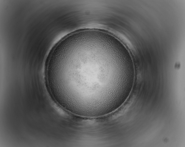 X0000103330990200809051205