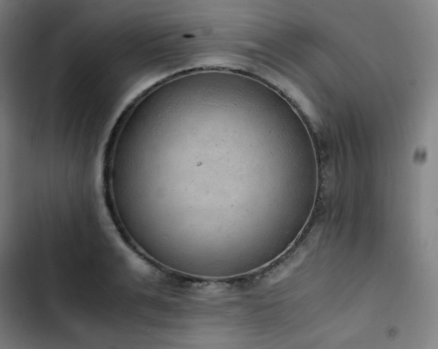 X0000103330991200809051205