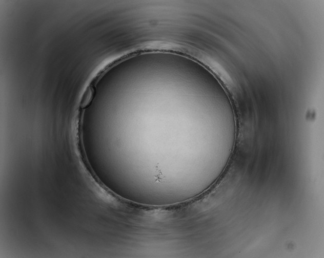 X0000103330992200809051205