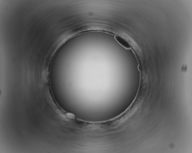 X0000103330993200809051205