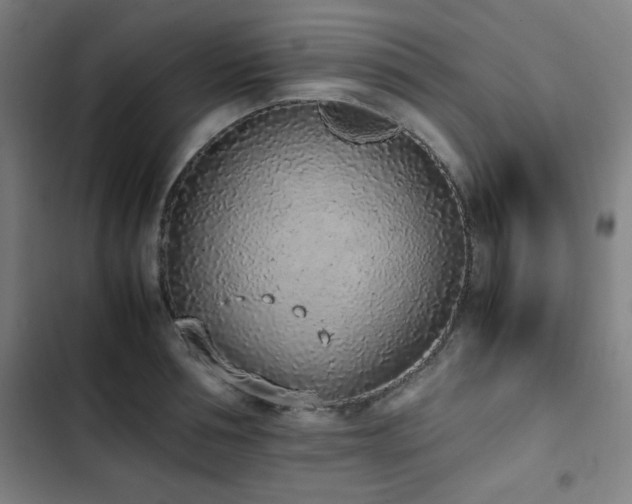 X0000103330994200809051205