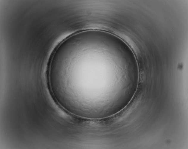 X0000103330995200809051205