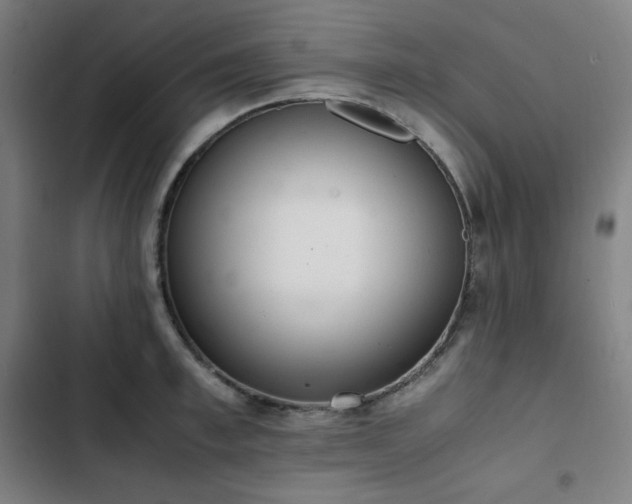 X0000103330997200809051205