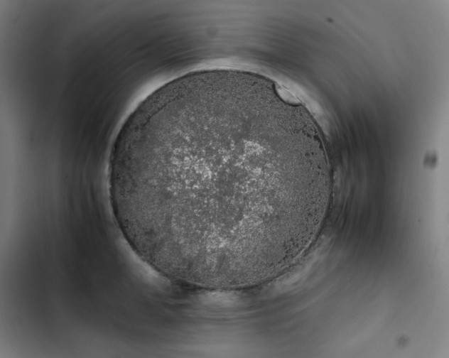 X0000103330998200809051205