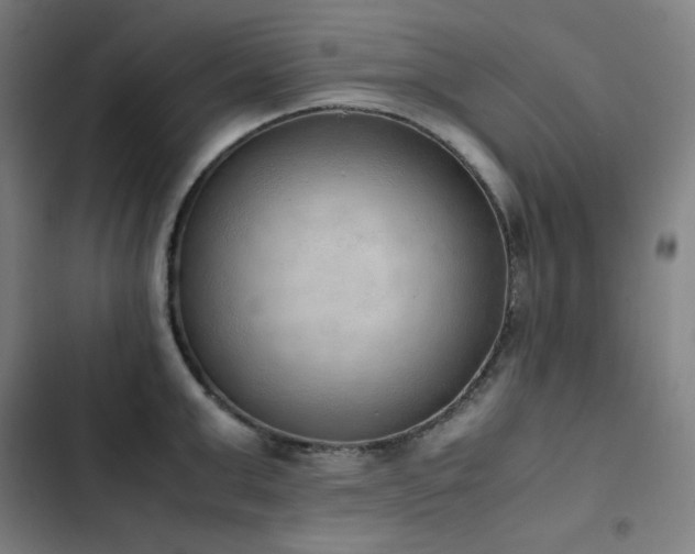 X0000103330999200809051205