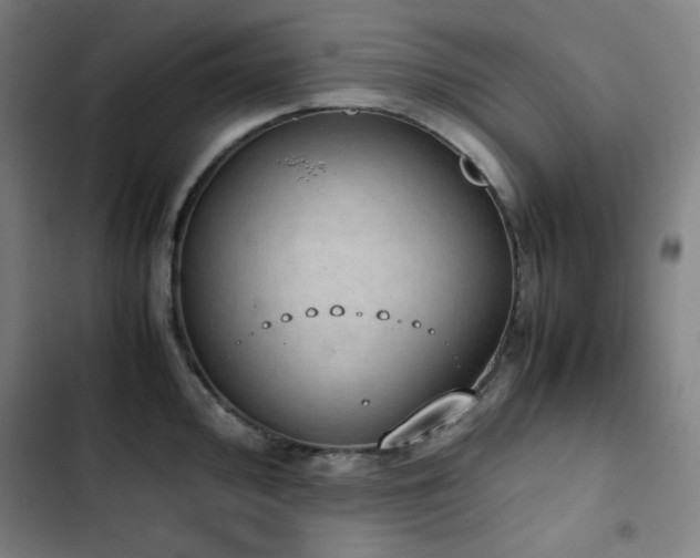 X0000103331000200809051205