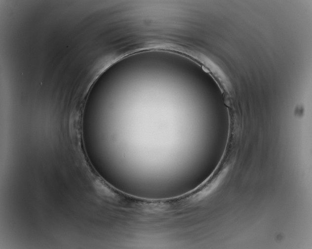 X0000103331001200809051205